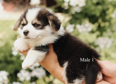 2001800054826478395039255849406046383064949n1625341649