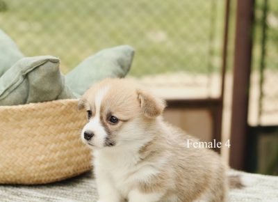 2002537341553549266512248182785179895695342n1625341648