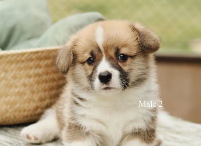 2013426544078007170246314444827178173126031n1625341648