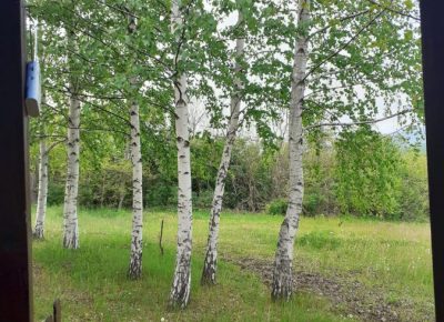 202005101542151625591629-scaled