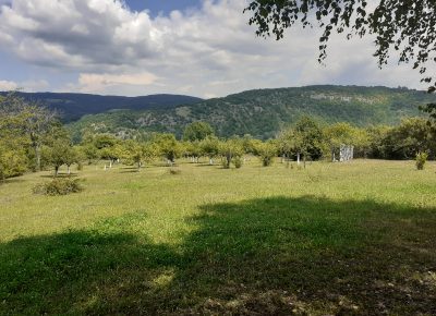 202008011340491625591592