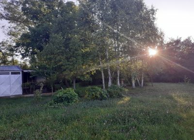 202008211817251625591405