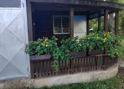 202008211817411625591440