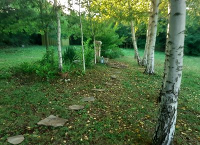 202008211817581625591462