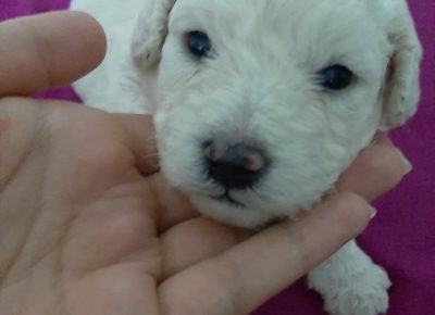 20271225011551752649612627366466976606423157n1625250446