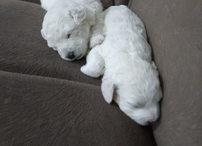 20735220027498127853093868822953239059142666n1625250448