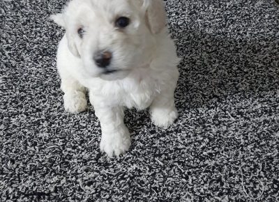 20856562311848927653644536021015775718735143n1625250447