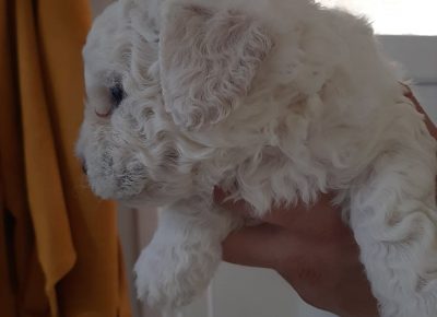 20931774710620649312004286142230336403862434n1625250448