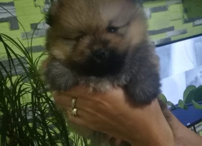 2134467063410775441406671128821910159631897n1627142223