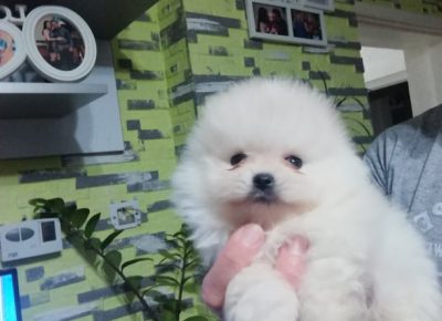 2135671492071051879932485039828834908532889n1627142223