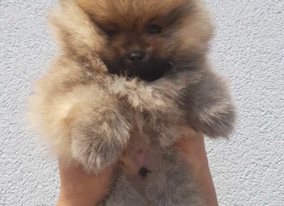 2213941199867833087637738873937873947390546n1627142225