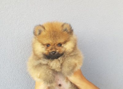 2227123151577060664537033440925826674728440n1627142225