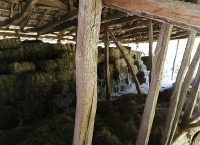 IMG202107101716571626030233