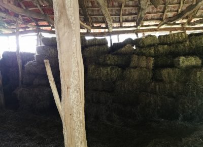 IMG202107101717011626030234