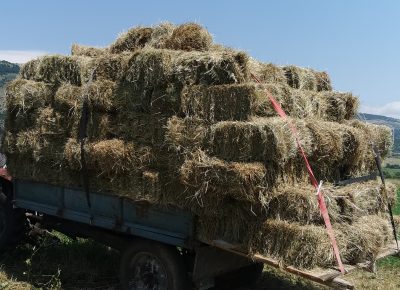 IMG202107112103431626030232