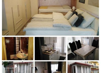 veternikapa11627046667