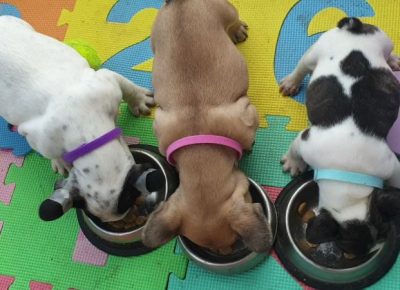 viberimage202107031326251625394355