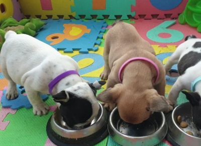 viberimage202107031326261625394355