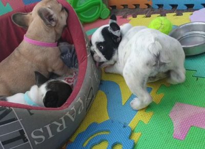 viberimage202107031326271625394354