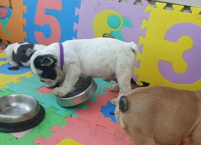 viberimage202107031326281625394355