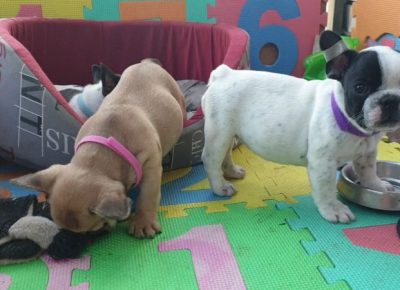 viberimage202107031326291625394355