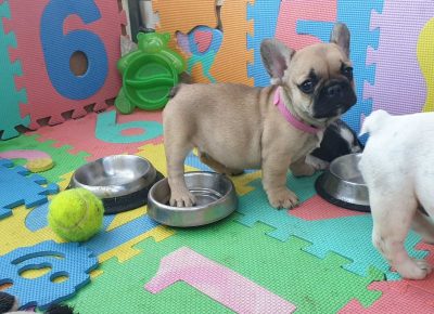 viberimage202107031326301625394356