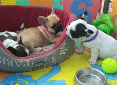 viberimage202107031326311625394356