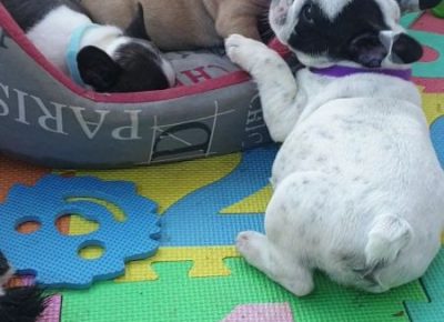 viberimage202107031326321625394356