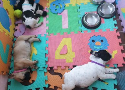 viberimage202107031326331625394356