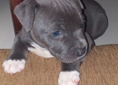 viberimage202107101711134931625938083