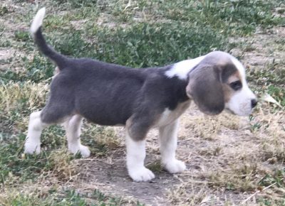 viberimage202107200834514541626786712