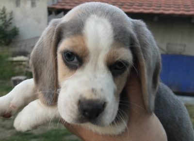 viberimage202107200834514561626786712