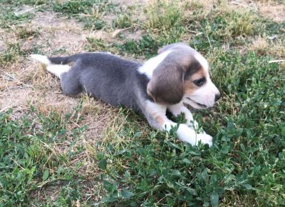 viberimage202107200834514581626786712