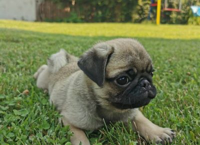 viberimage202107270822077091627408964