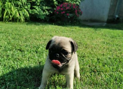 viberimage202107270822080121627408963