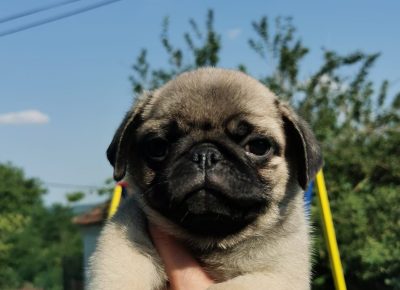 viberimage202107270822081651627408962