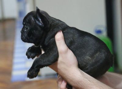 viberslika202107072234295731625845828