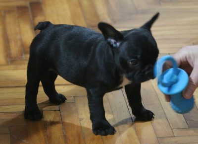 viberslika202107072234535161625845823