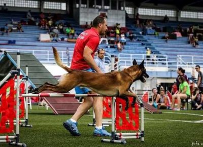 01malinoaotac1627937976