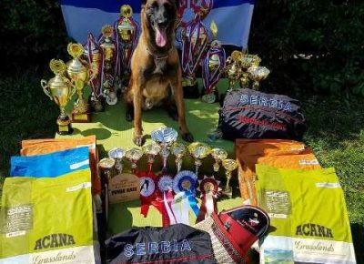 02malinoaotac1627937977