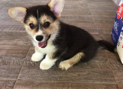 21479222915386713764932459171520002902183740n1629572980