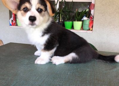 2171126011985356855731614079018878786218926n1629572981