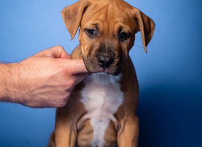 225917580640706456895107687948100589121912n1629837464