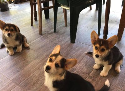 2264544392610399921890998202862926670142698n1629572981