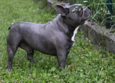 2279090829764223564849049095532584836502474n1628535930