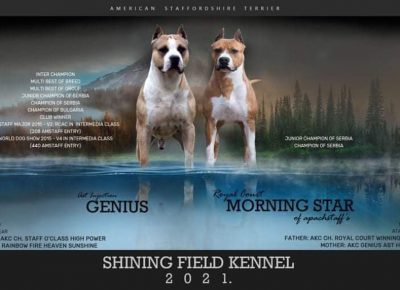 23060593010583665983043422344767897382475499n1629837463