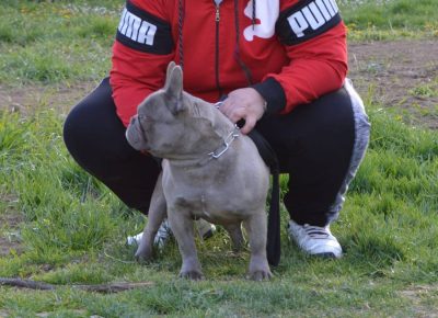 2322627768860427919964157900394674376630088n1628535931