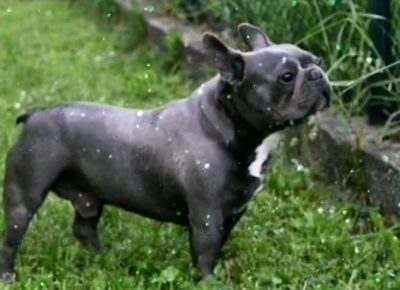 2331200456066372769942972906765472476472384n1628535931