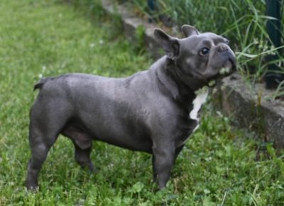 2333561387485175958651463789108379611985000n1628535930