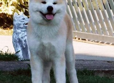 2338263722576422659655588194356968320363005n1629380744